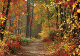 Allenjoy Autumn Forest Path Photography Backdrop Gbsx-00543