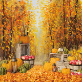 Autumn Forest Scenery Photography Backdrop GBSX-99605