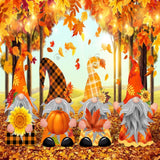 Autumn Gnomes Photography Backdrop GBSX-99606