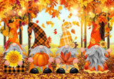 Autumn Gnomes Photography Backdrop GBSX-99606