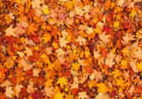 Autumn Leaves Photography Backdrop GBSX-99608