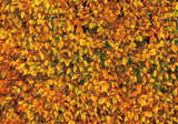 Allenjoy Autumn Leaves Wall Photography Backdrop Gbsx-00541