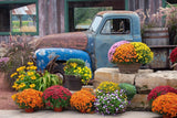 Allenjoy Autumn Old Blue Truck Photography Backdrop Gbsx-00925