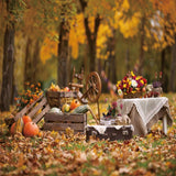 Allenjoy Autumn Picnic Setup Photography Backdrop Gbsx-00838