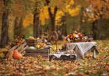 Allenjoy Autumn Picnic Setup Photography Backdrop Gbsx-00838