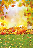 Allenjoy Autumn Pumkins Maple Leaves Photography Backdrop Gbsx-00606