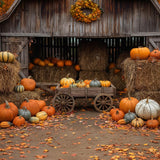 Autumn Pumpkin Barn Photography Backdrop GBSX-99610