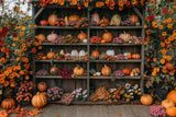 Allenjoy Autumn Pumpkin Farm Photography Backdrop GBSX-00095