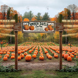 Allenjoy Autumn Pumpkin Patch Field Photography Backdrop Gbsx-00514