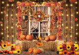 Autumn Pumpkins Window Photography Backdrop GBSX-99613