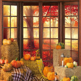 Allenjoy Autumn Pumpkins Window Photography Backdrop GBSX-00170