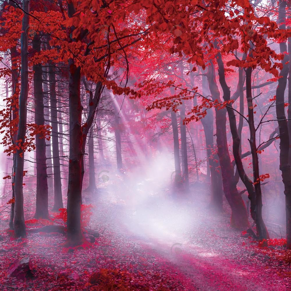 Allenjoy Autumn Red Foggy Forest Photography Backdrop Gbsx-00613