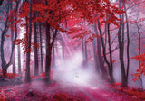 Allenjoy Autumn Red Foggy Forest Photography Backdrop Gbsx-00613