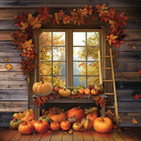 Allenjoy Autumn View Window Photography Backdrop Gbsx-00739