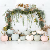 Allenjoy Bohemian Pretty Pumpkin Photography Backdrop Gbsx-00455