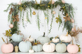 Allenjoy Bohemian Pretty Pumpkin Photography Backdrop Gbsx-00455