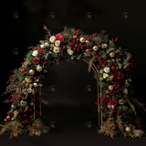 Allenjoy Christmas Arch Photography Backdrop GBSX-00018