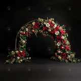 Allenjoy Christmas Arch Photography Backdrop GBSX-00019