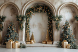 Christmas Arches Photography Backdrop GBSX-99676