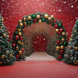 Allenjoy Christmas Archway Photography Backdrop Gbsx-01147