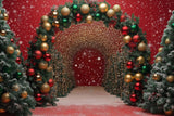 Allenjoy Christmas Archway Photography Backdrop Gbsx-01147