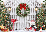 Christmas Barn Door Photography Backdrop GBSX-99678