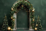 Christmas Green Arch Wall Photography Backdrop GBSX-99690