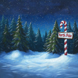 Allenjoy Christmas North Pole Forest Photography Backdrop Gbsx-01191