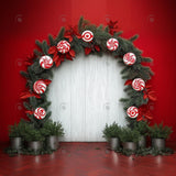 Allenjoy Christmas Peppermint Arch Photography Backdrop Gbsx-01149