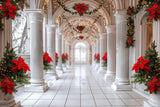 Allenjoy Christmas Porch Photography Backdrop GBSX-00120