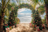 Allenjoy Christmas Sea Beach Arch Photography Backdrop Gbsx-00570