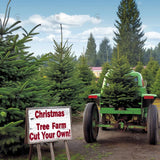 Allenjoy Christmas Trees Farm Photography Backdrop Gbsx-00623