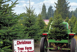 Allenjoy Christmas Trees Farm Photography Backdrop Gbsx-00623