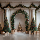 Christmas Twinkle Arches Photography Backdrop GBSX-99713