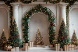 Christmas Twinkle Arches Photography Backdrop GBSX-99713