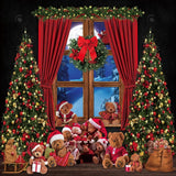 Christmas Window Bear Photography Backdrop GBSX-99715