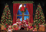 Christmas Window Bear Photography Backdrop GBSX-99715