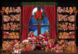 Christmas Window Bear Photography Backdrop GBSX-99716