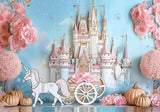 Cinderella Castle Cake Smash Photography Backdrop GBSX-99725