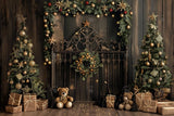 Dreams Of December Photography Backdrop GBSX-99761