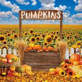 Allenjoy Fall Pumpkin Patch Photography Backdrop GBSX-00183