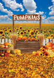 Allenjoy Fall Pumpkin Patch Photography Backdrop GBSX-00183