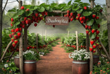 Allenjoy Farm Strawberry Garden Photography Backdrop GBSX-00077