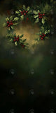 Allenjoy Fine Art Christmas Wreath Leaves Photography Backdrop Gbsx-01212
