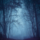 Allenjoy Foggy Forest Night Photography Backdrop Gbsx-00545