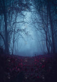 Allenjoy Foggy Forest Night Photography Backdrop Gbsx-00545