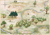 Forest Map Photography Backdrop GBSX-99782