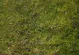 Fresh Grass Floor Photography Backdrop GBSX-99784