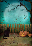 Allenjoy Halloween Full Moon Night Photography Backdrop GBSX-00161