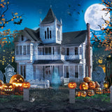 Allenjoy Halloween Haunted House Photography Backdrop GBSX-00184